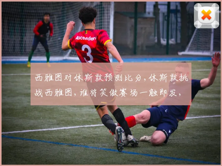 西雅图对休斯敦预测比分,休斯敦挑战西雅图,谁将笑傲赛场一触即发,悬念迭起