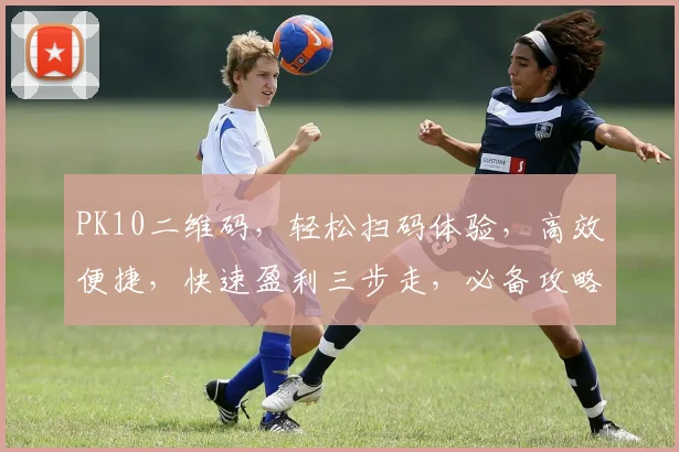 PK10二维码，轻松扫码体验，高效便捷，快速盈利三步走，必备攻略